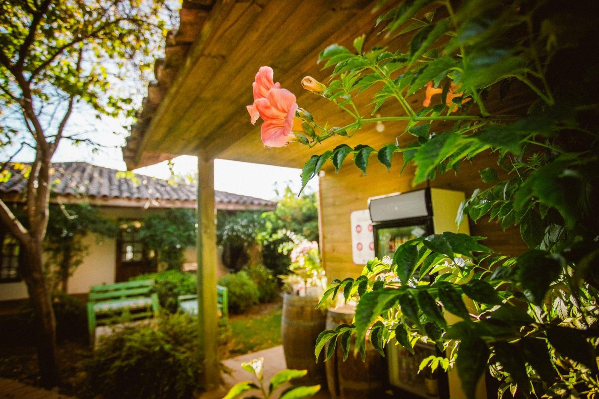 סנטה קרוז Hotel Hoja De Parra מראה חיצוני תמונה