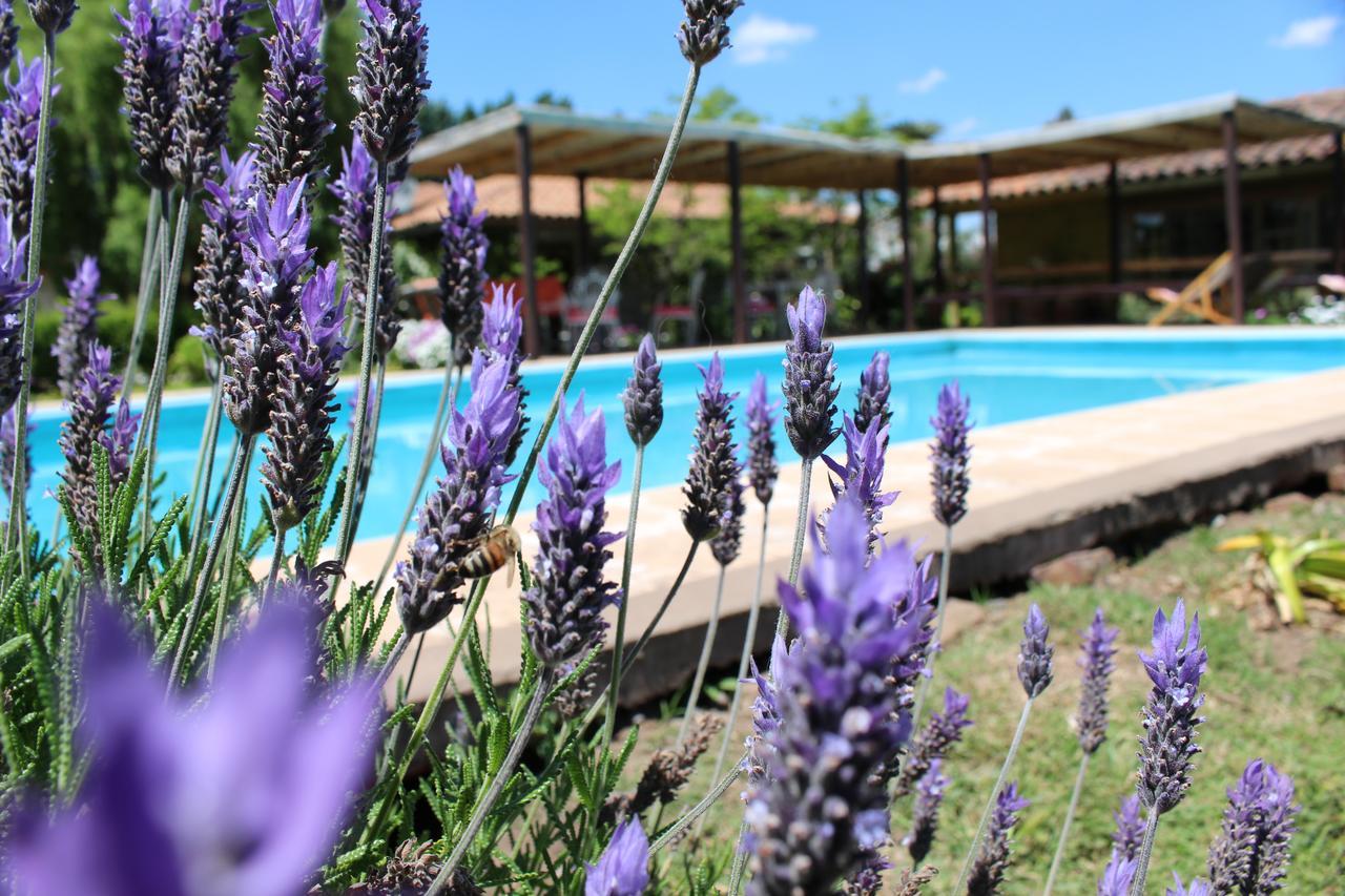 סנטה קרוז Hotel Hoja De Parra מראה חיצוני תמונה